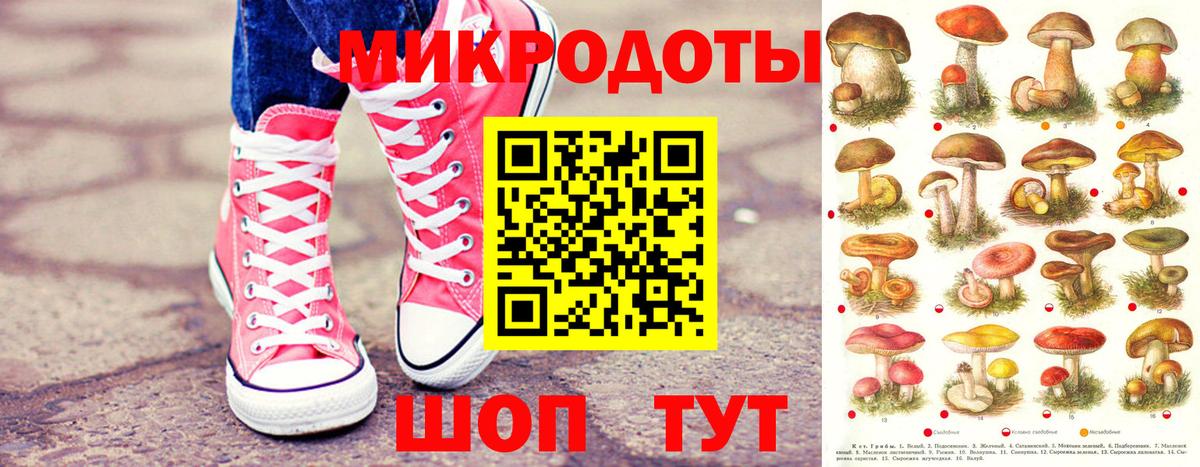 Ефремов  Галлюциногенные грибы мицелий  купить   Вход с VPN 